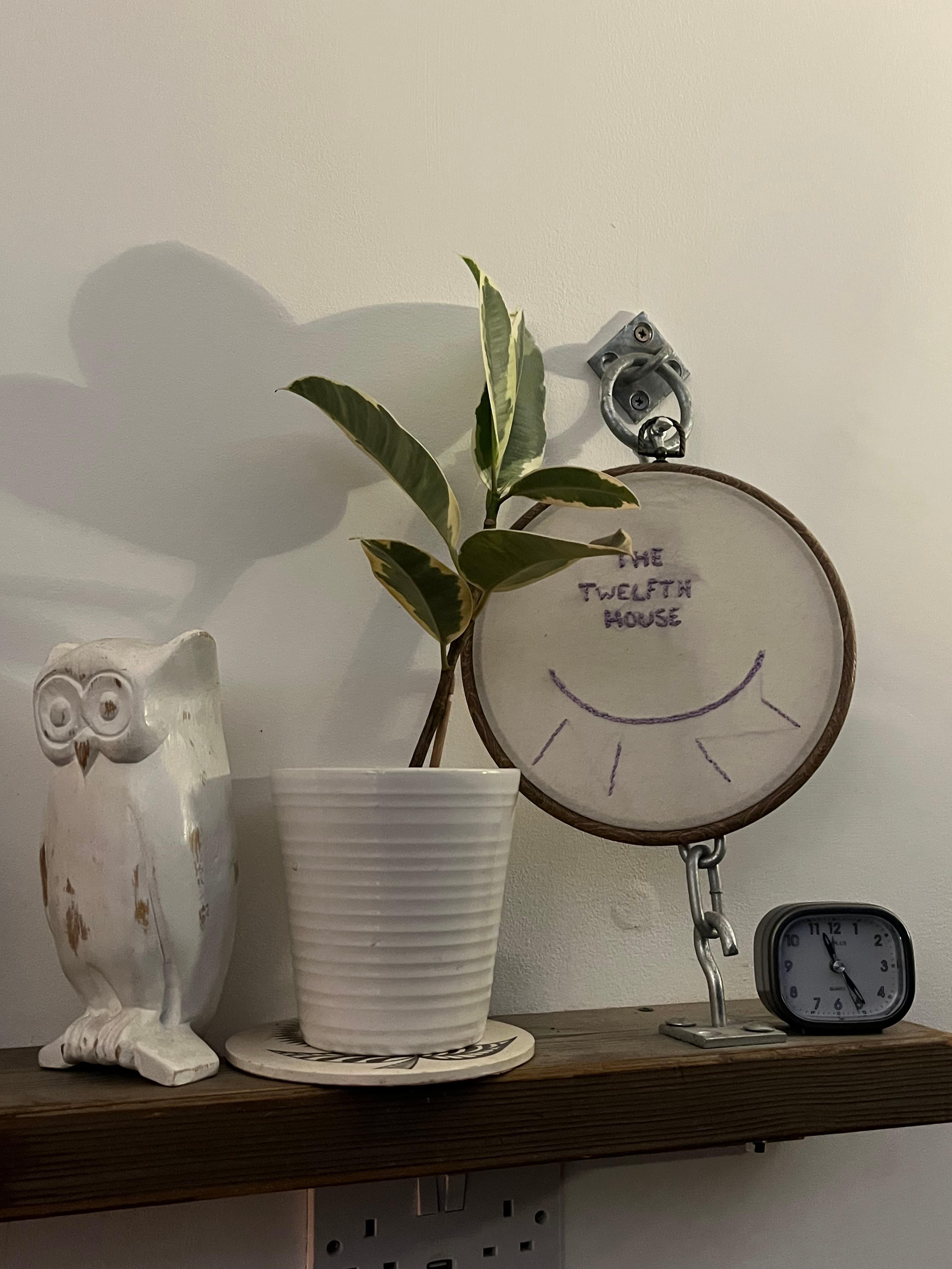 Gallery image 6